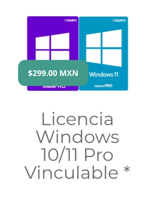 Windows 10/11 Pro Reinstalable